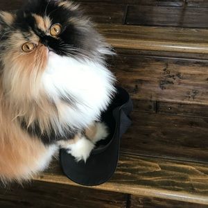 Meet your Posher, Camille